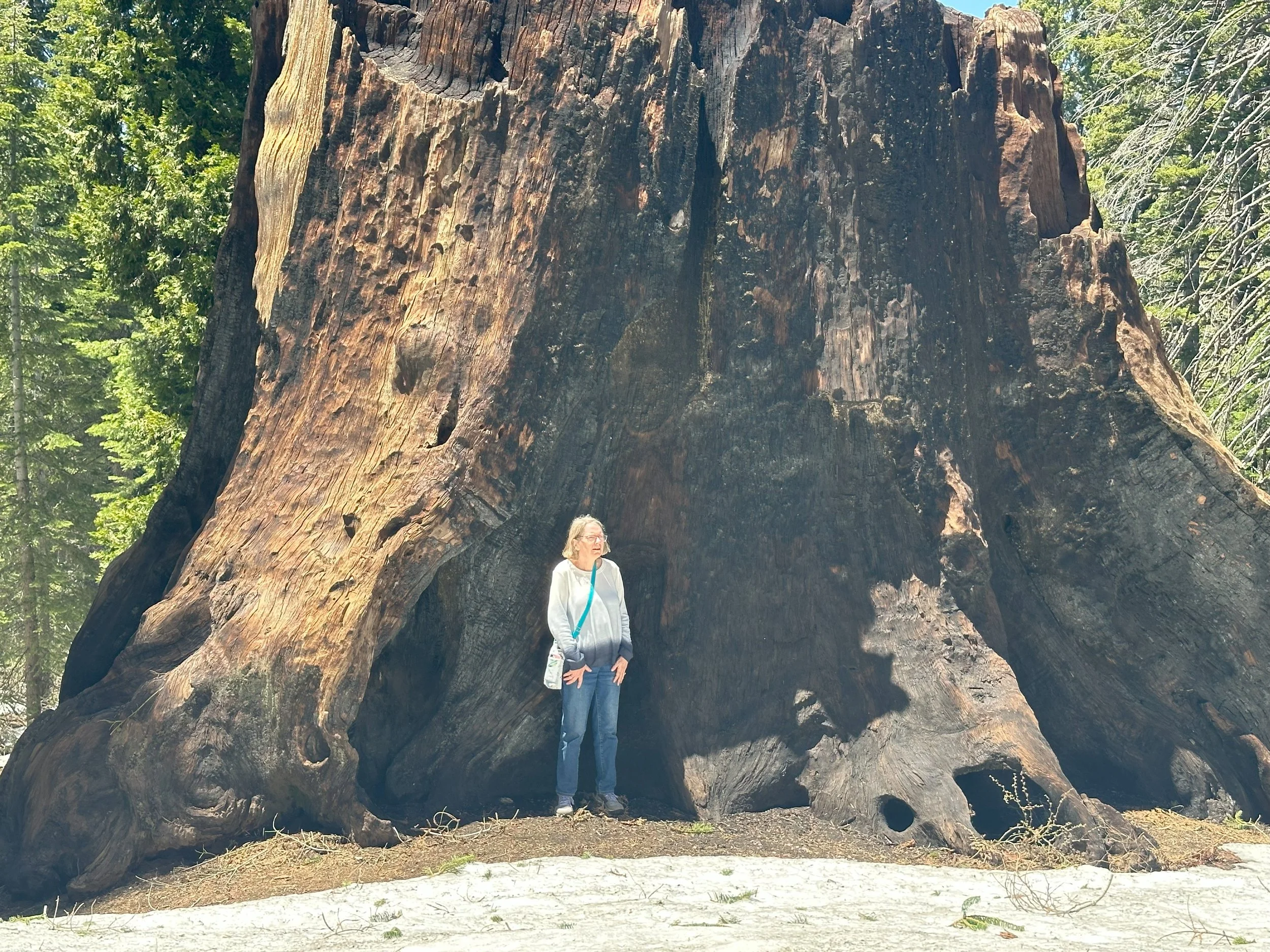 Sequoia National Park